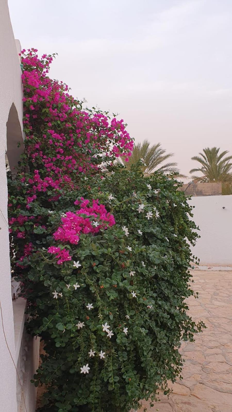 Residence Nour Douz Kültér fotó